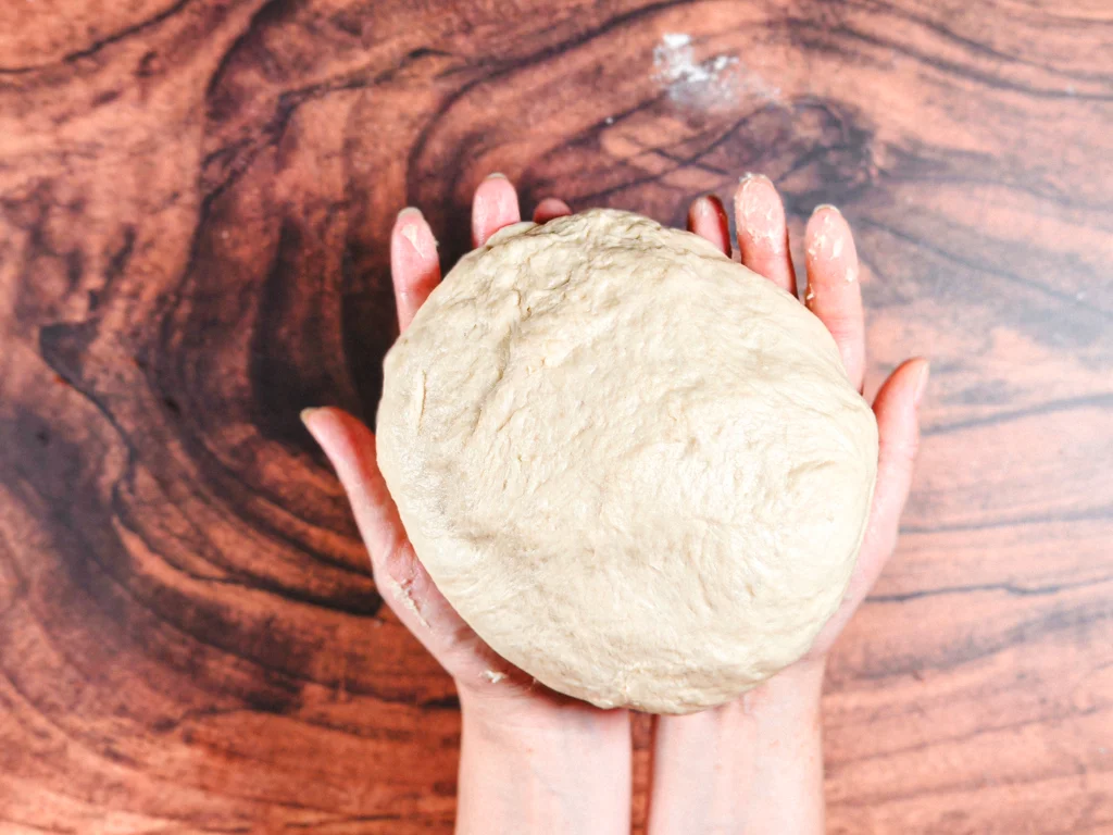 Basic yeast bread dough.