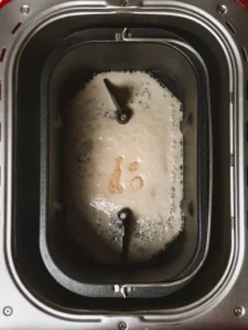 Activating yeast.